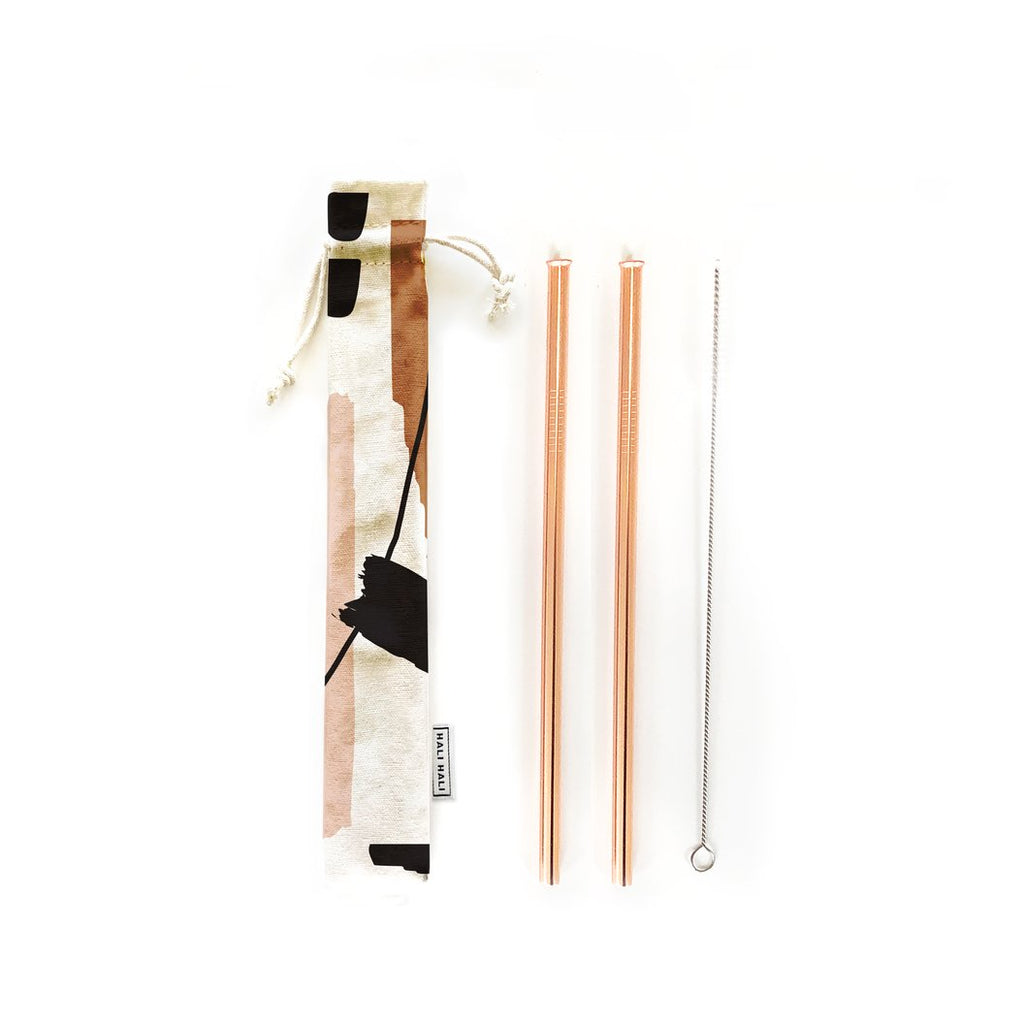 Hold On Reusable Straw Set (4 Piece)